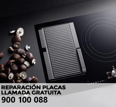Reparación averías placa de cocción Otsein
